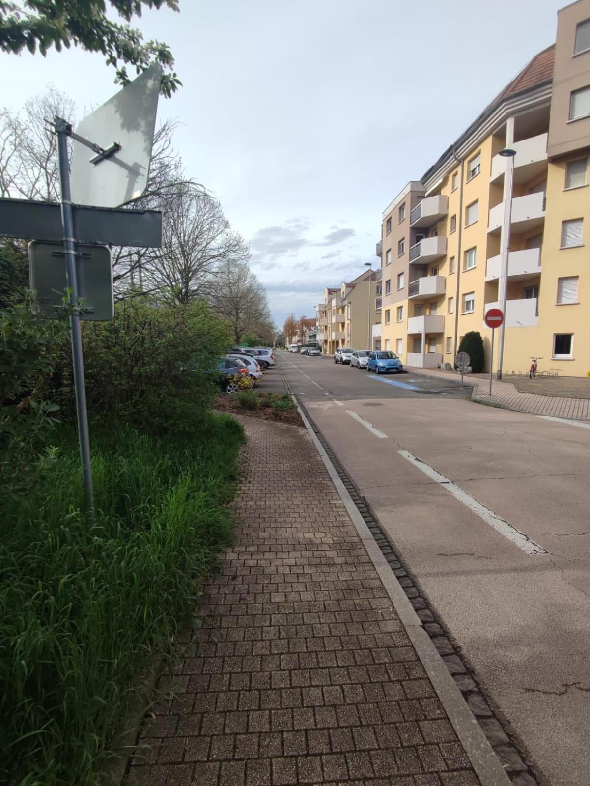 Douillet-Kanamappart-Euroairport Saint-Louis (Haut-Rhin) Exterior foto